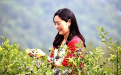 亚洲 图片偷拍网